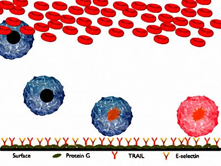 Dispositivo que "cepilla" las células cancerígenas - Imagen de Cornell University