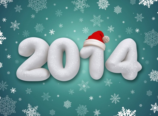 Nuevo año 2014
