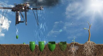 seedbomb